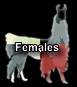Females